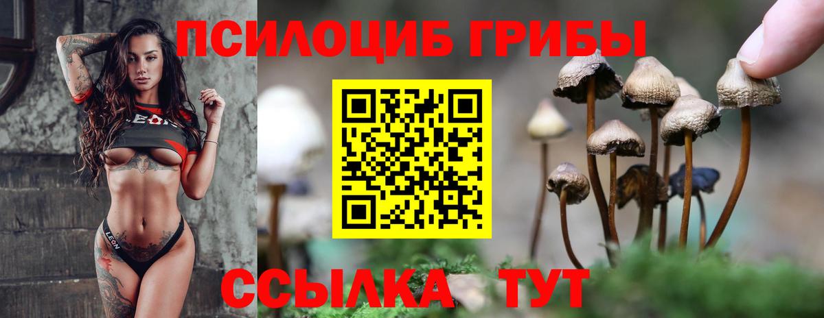 Галлюциногенные грибы мицелий  Вход с VPN  Псилоцибиновые грибы прущие грибы  Серпухов 